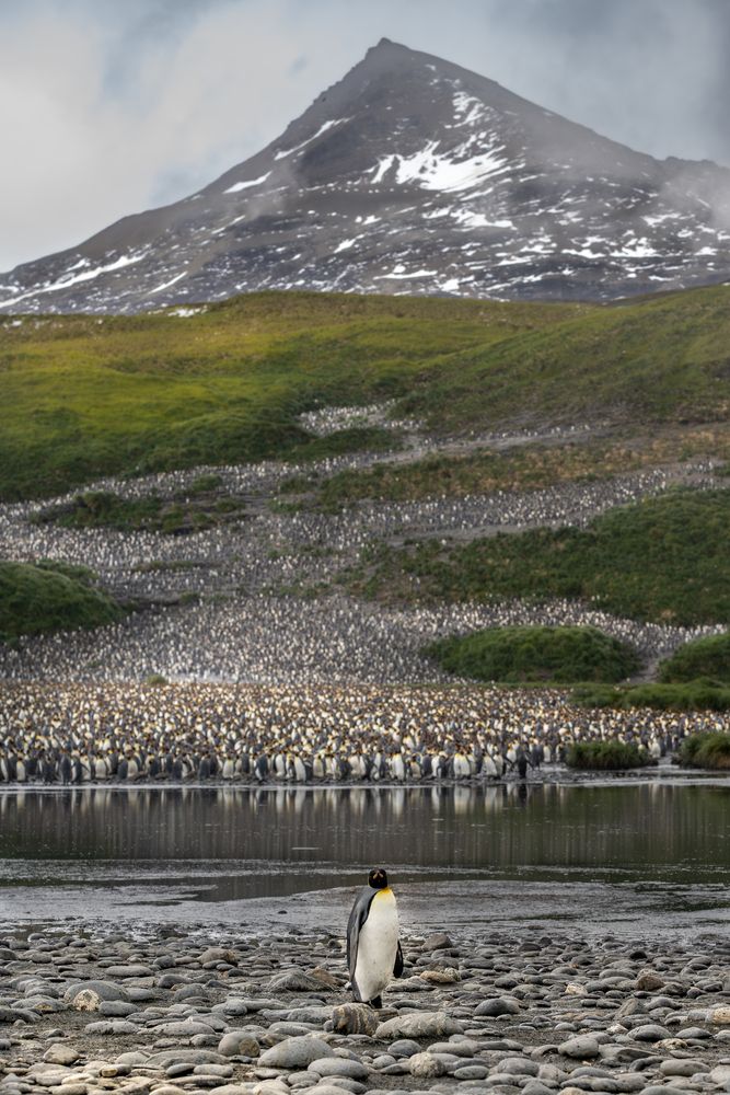 Photograph by Esteban Duque Mesa