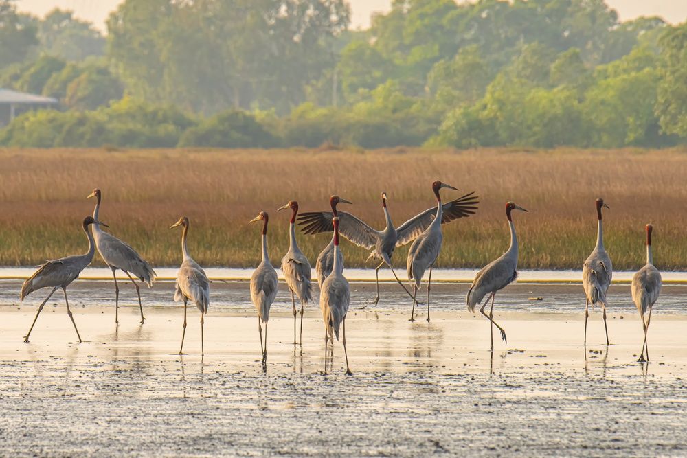 Photograph by Nguyen