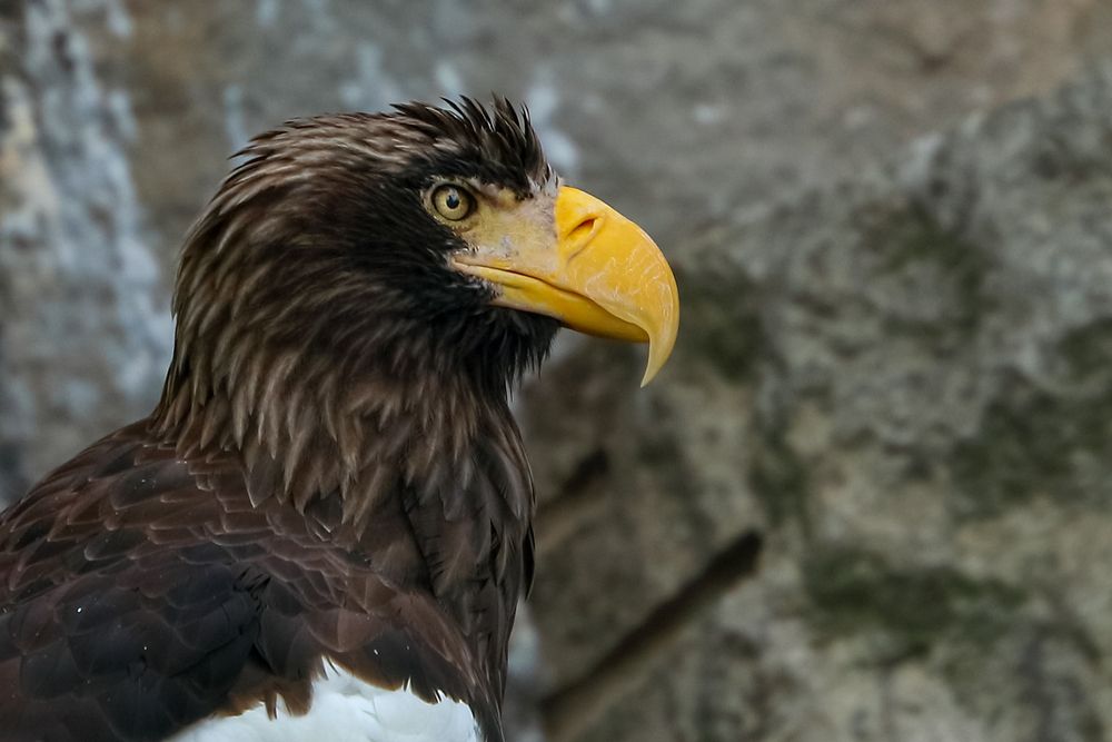 Photograph by Светлана Долотова