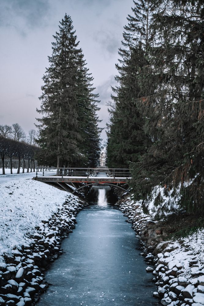 Photograph by Данил Шукан