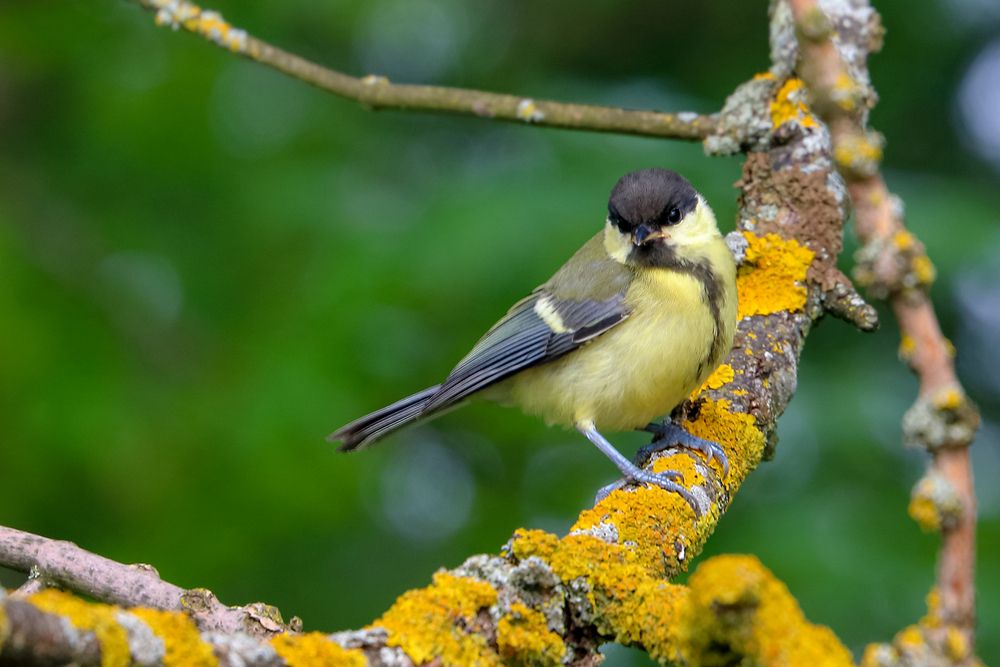 Photograph by Светлана Долотова