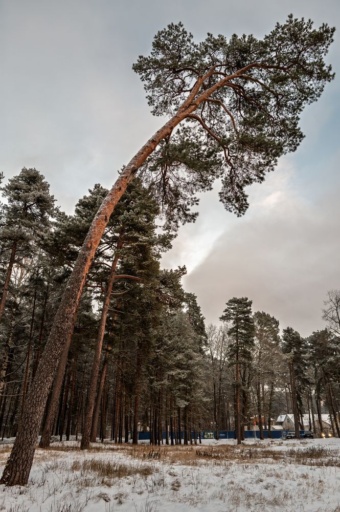 Photograph by Александр Клиновский