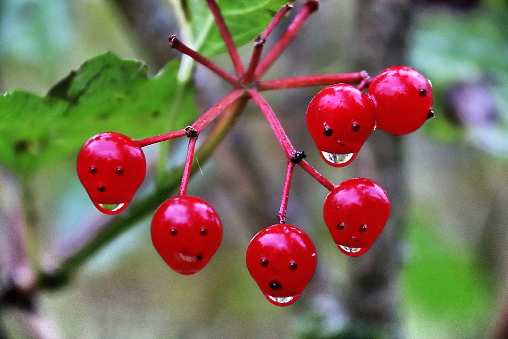 Photograph by Александр Лазебник