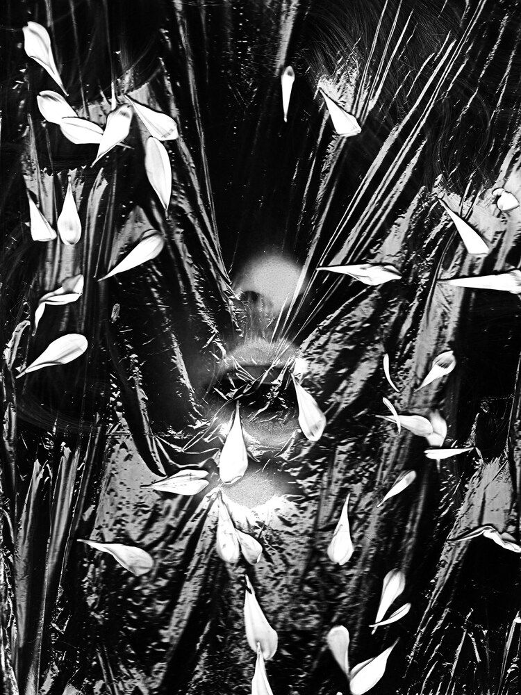 Фотография автора Анастасия Нестерова