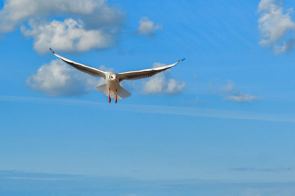 Photograph by Светлана Долотова