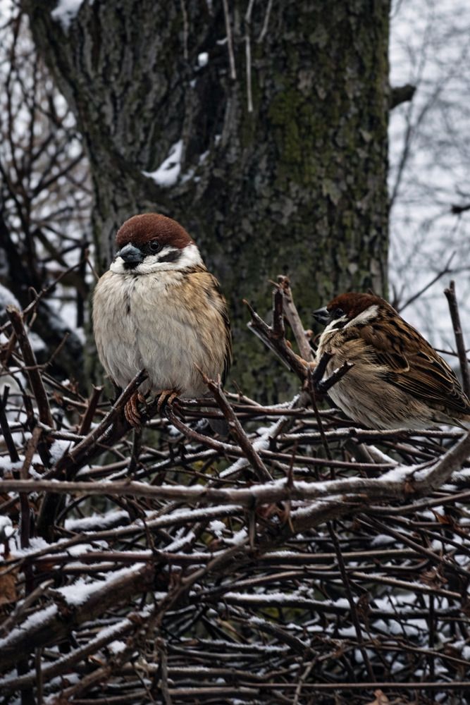 Photograph by Мария Карпычева