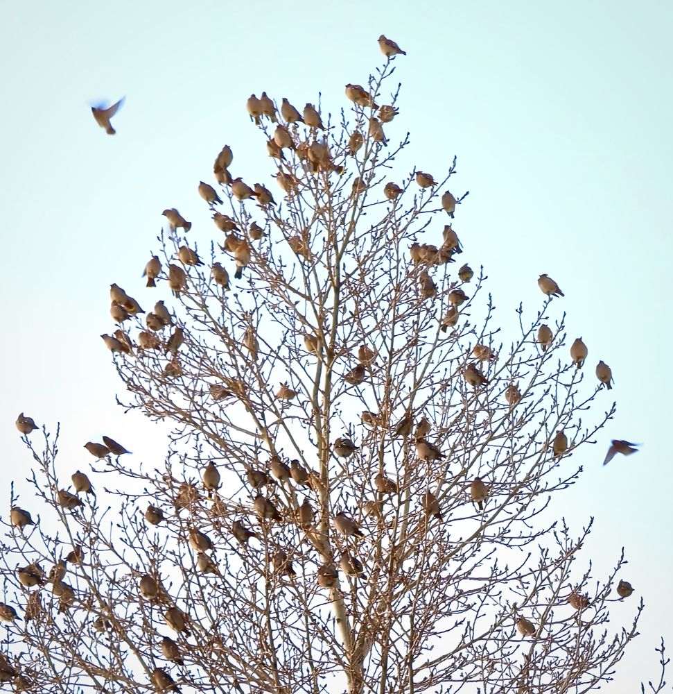 Photograph by Olena Chertous