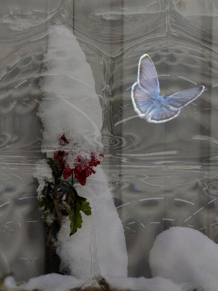 Photograph by Ульяна Кузьмина