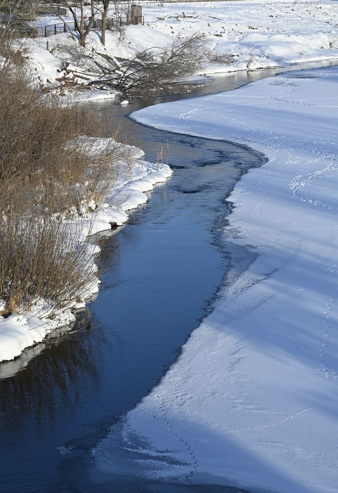 Фотография автора Viktoria