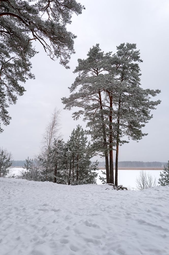 Photograph by Александр Клиновский