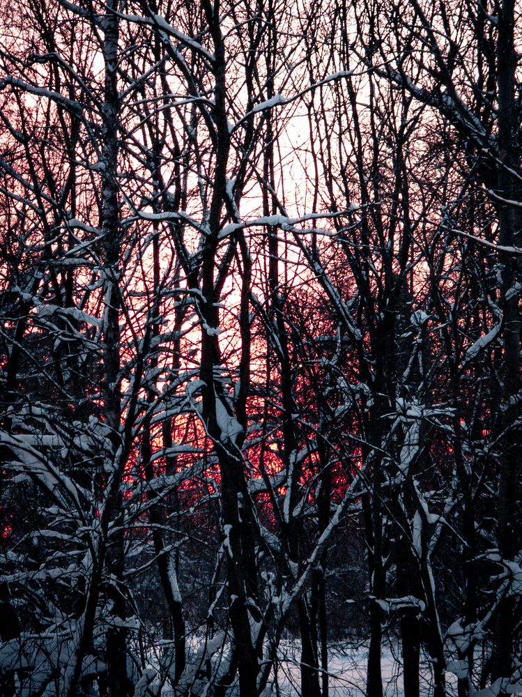 Photograph by Дмитрий Спидченко
