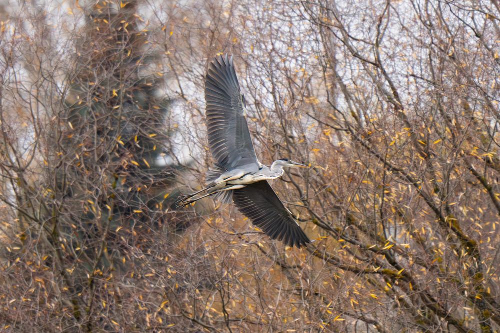 Photograph by Сергей Малинкин