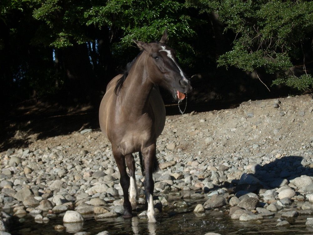 Photograph by Anabel Calderon