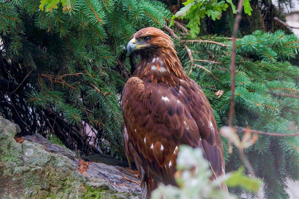 Photograph by Светлана Долотова