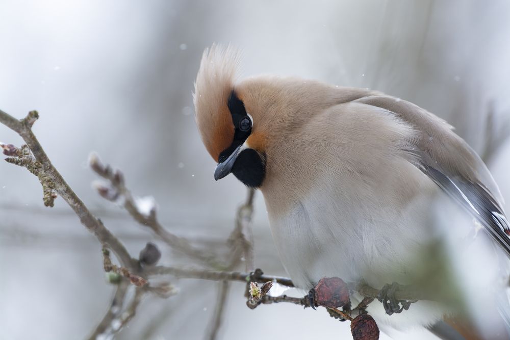 Photograph by Андрей Смирнов