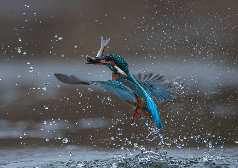 Photograph by Erika Katics