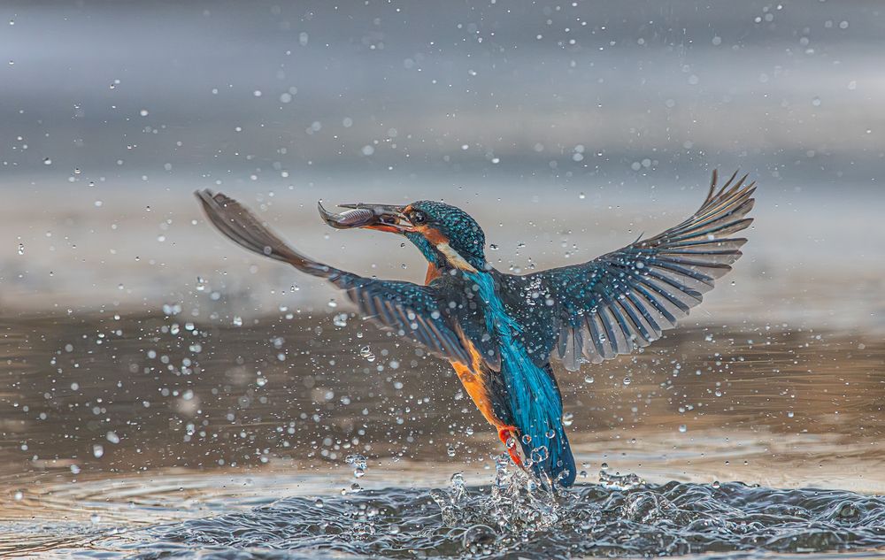 Photograph by Erika Katics