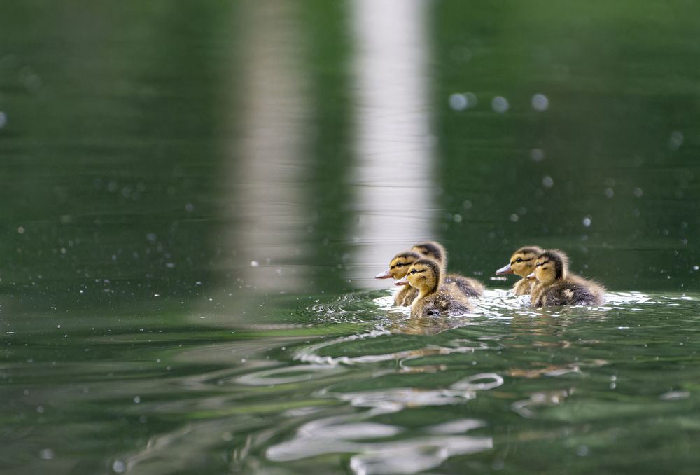 Photograph by Андрей Смирнов