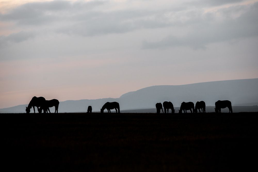 Фотография автора Мария Раздорова