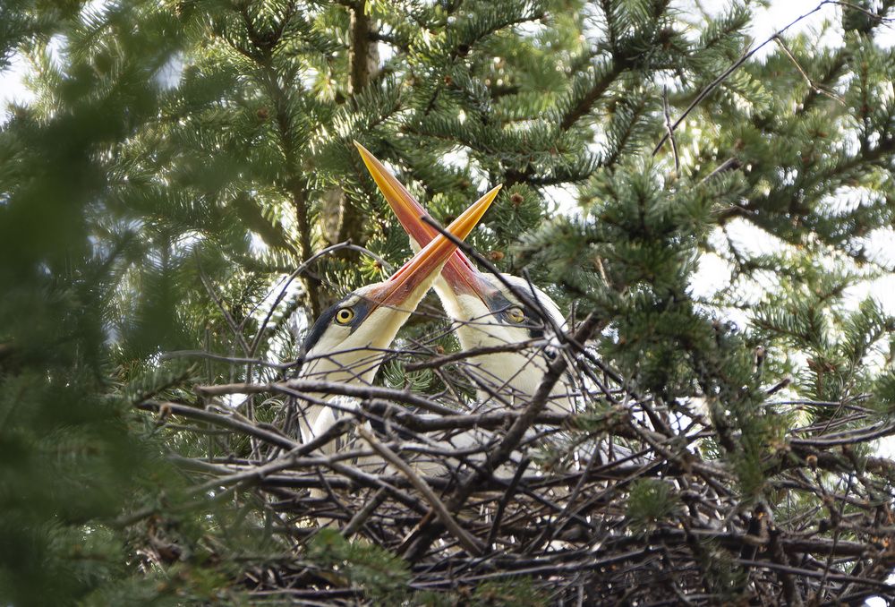 Photograph by Андрей Смирнов