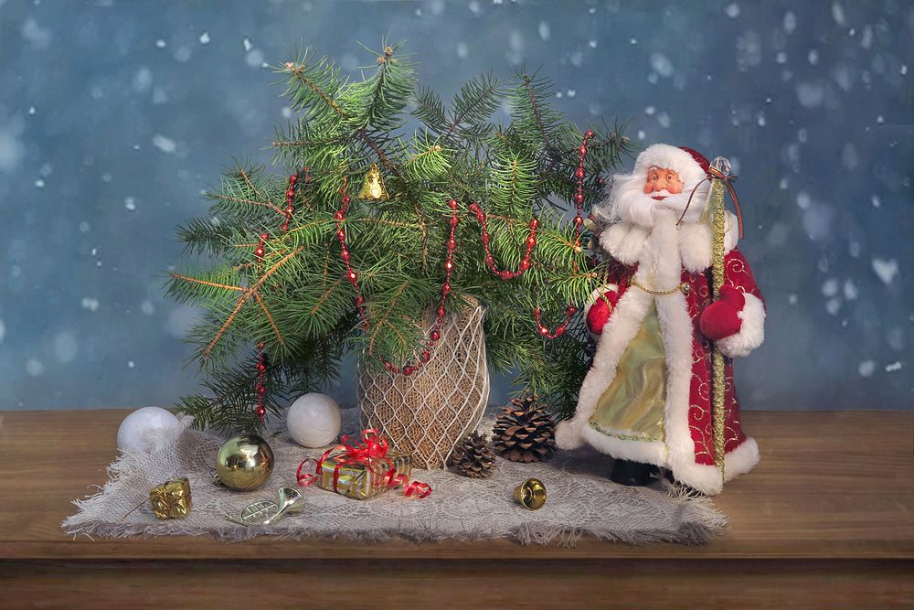 Photograph by Алла Шевченко