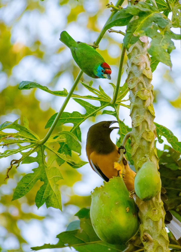 Photograph by Asamanj Maiti