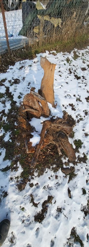 Photograph by alexandru gabriel bajenaru