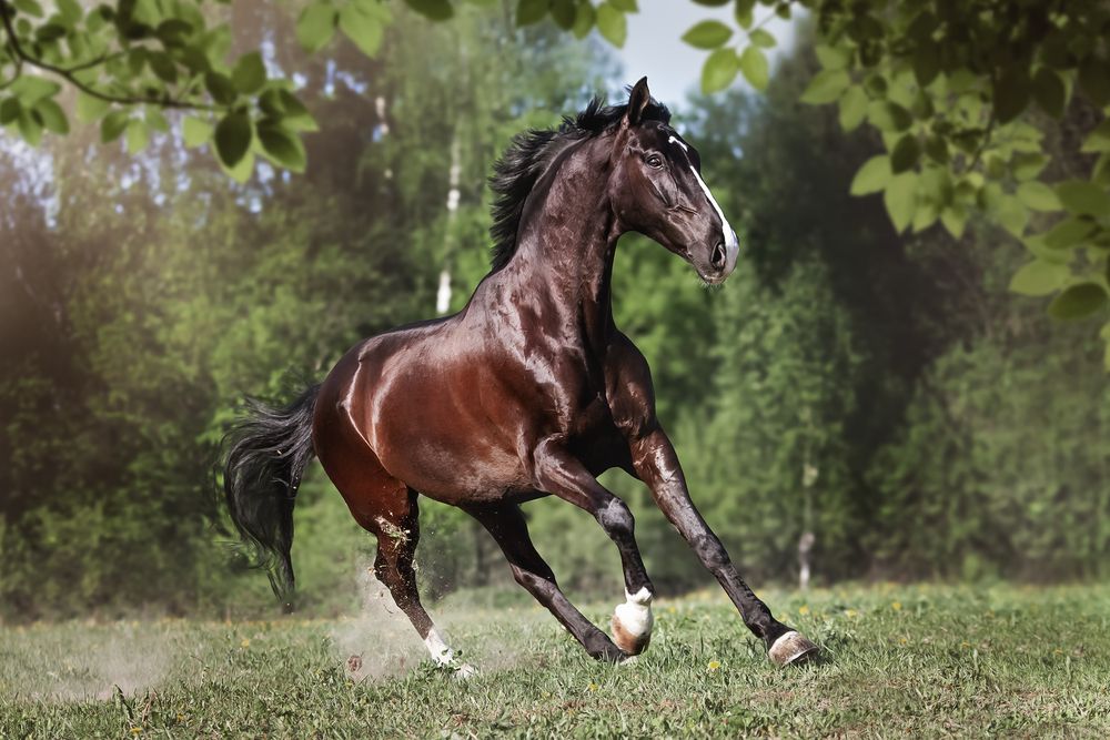 Photograph by Матюхина Наталья