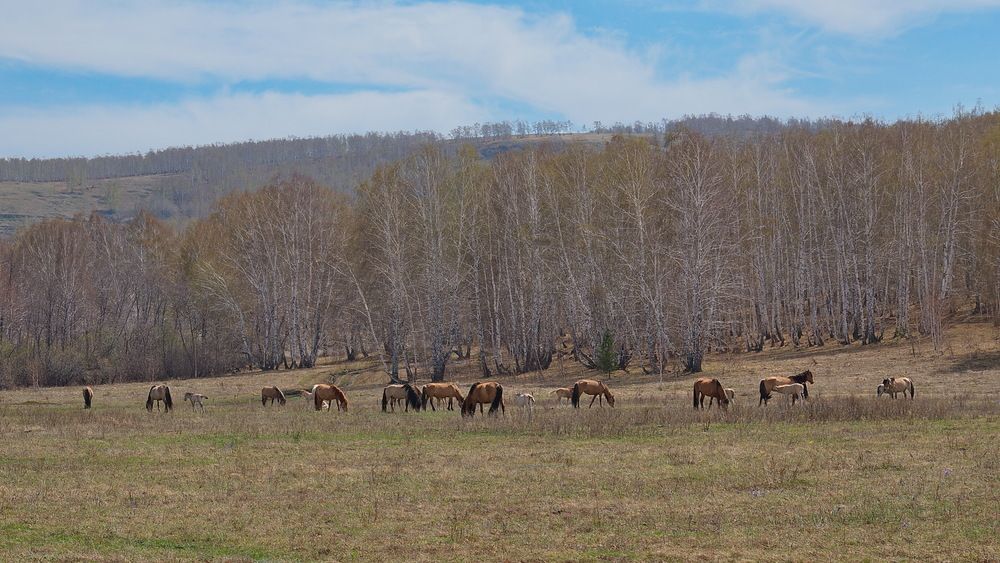 Photograph by Василий Быстрицкий