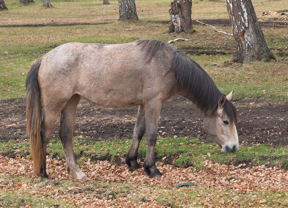 Photograph by Василий Быстрицкий