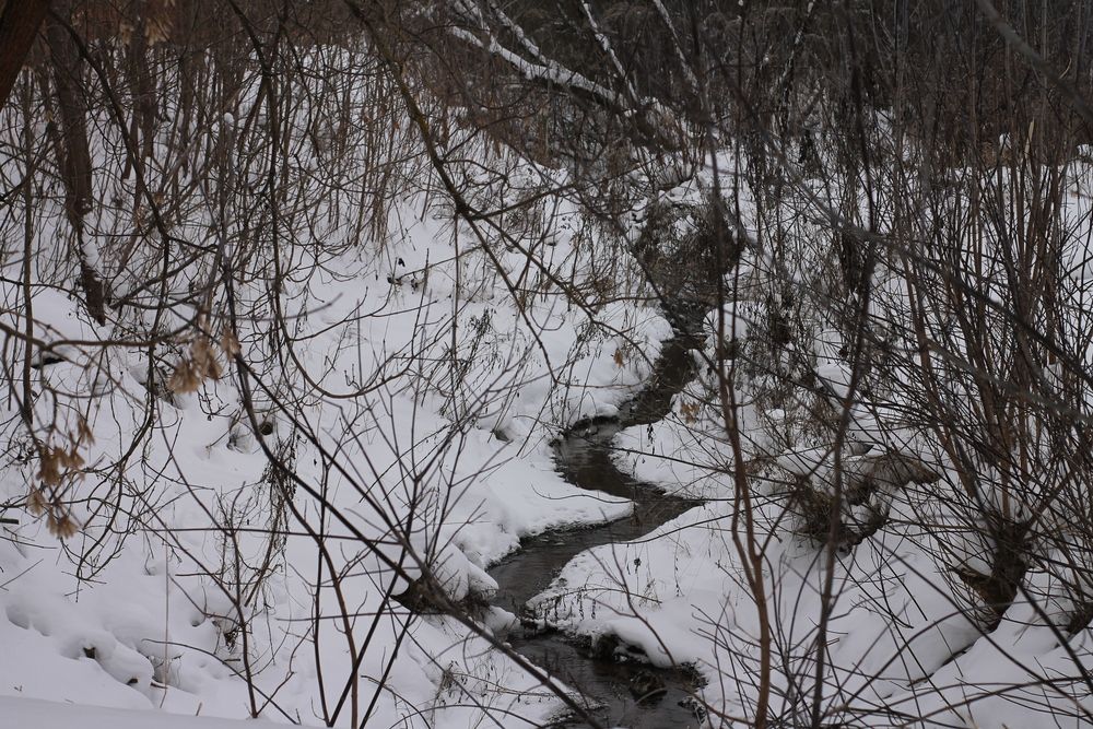 Фотография автора Anzhelika