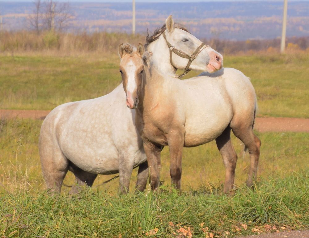Photograph by Василий Быстрицкий