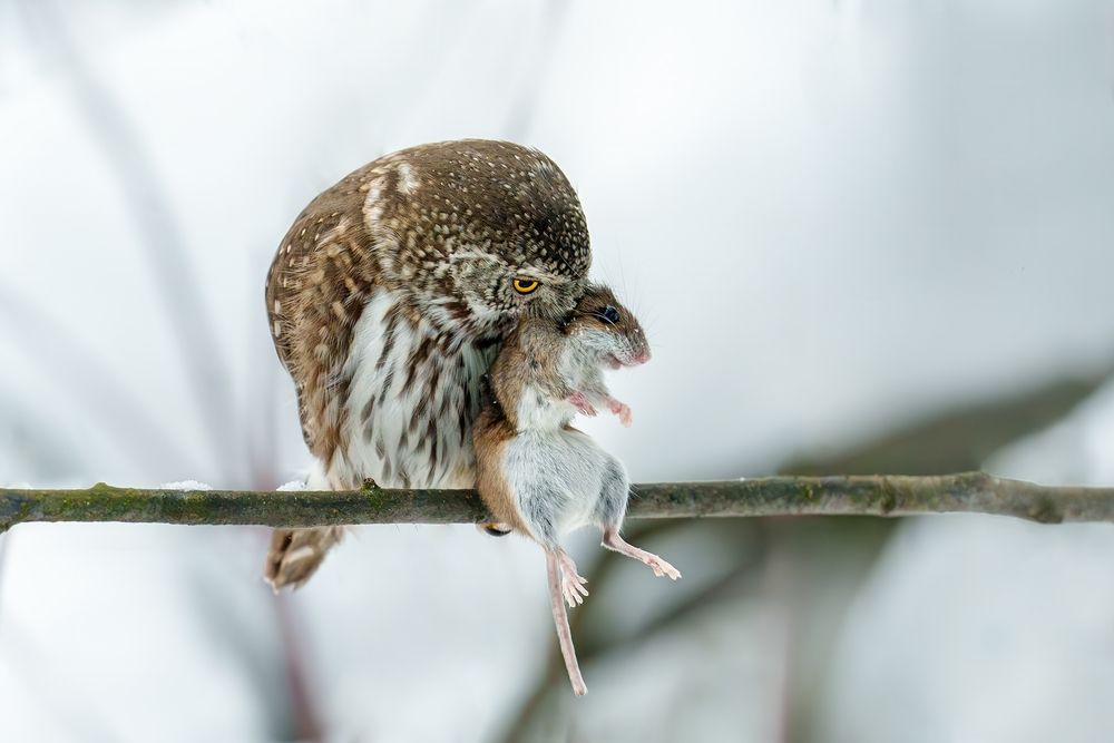 Малыш, хочешь,  я расскажу тебе сказку?