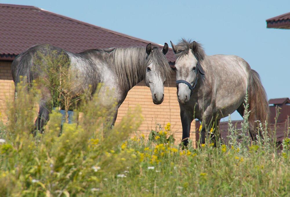 Photograph by Василий Быстрицкий