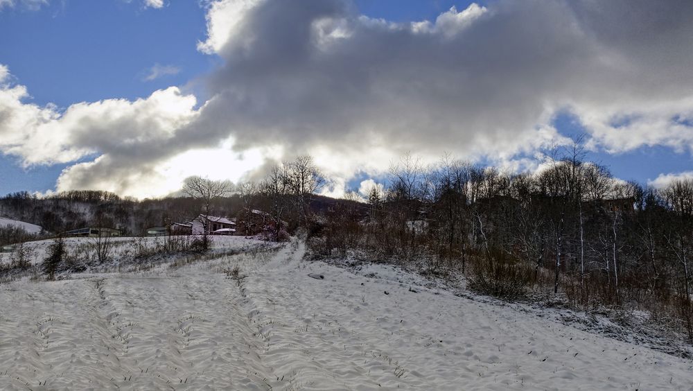 Фотография автора Liliana C.