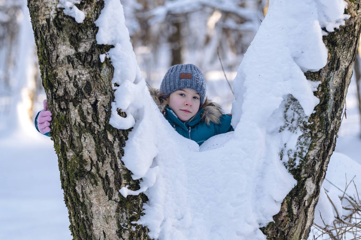 Фотография #13104522