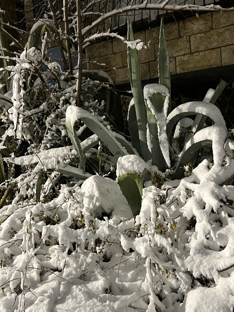 Photograph by Алла Киселева