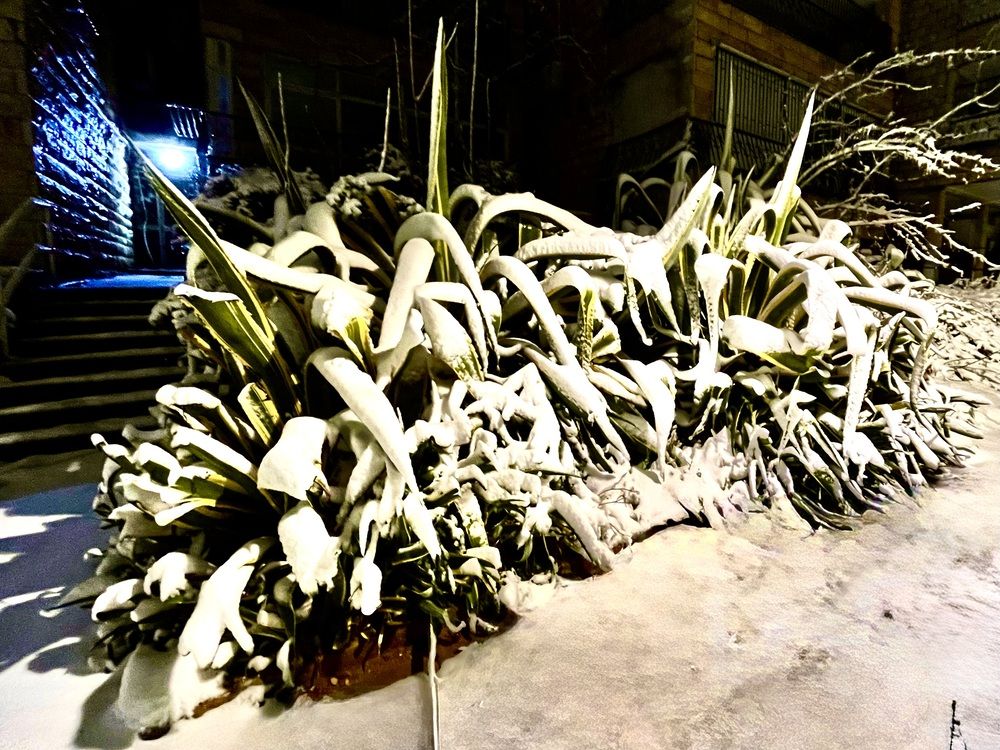 Photograph by Алла Киселева