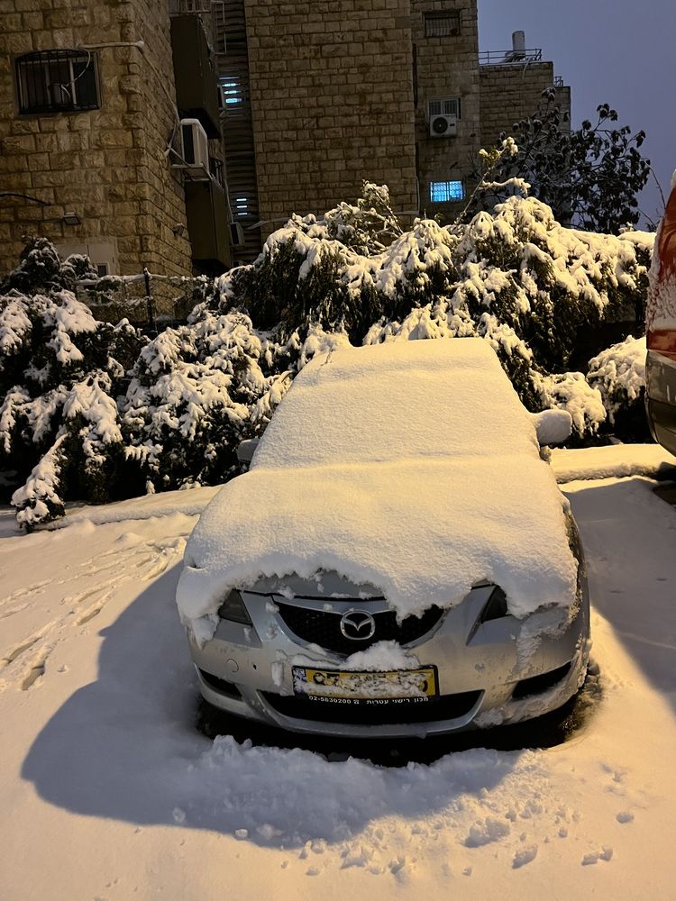 Photograph by Алла Киселева