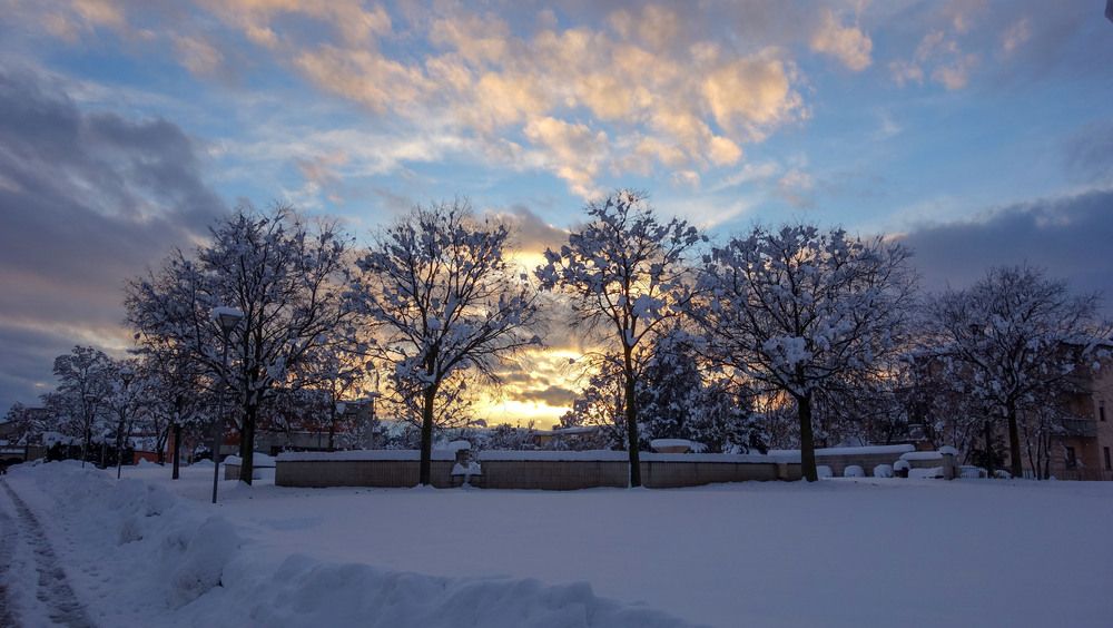 Фотография автора Liliana C.