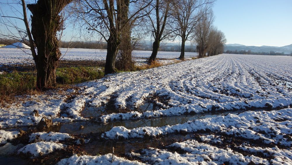 Фотография автора Liliana C.