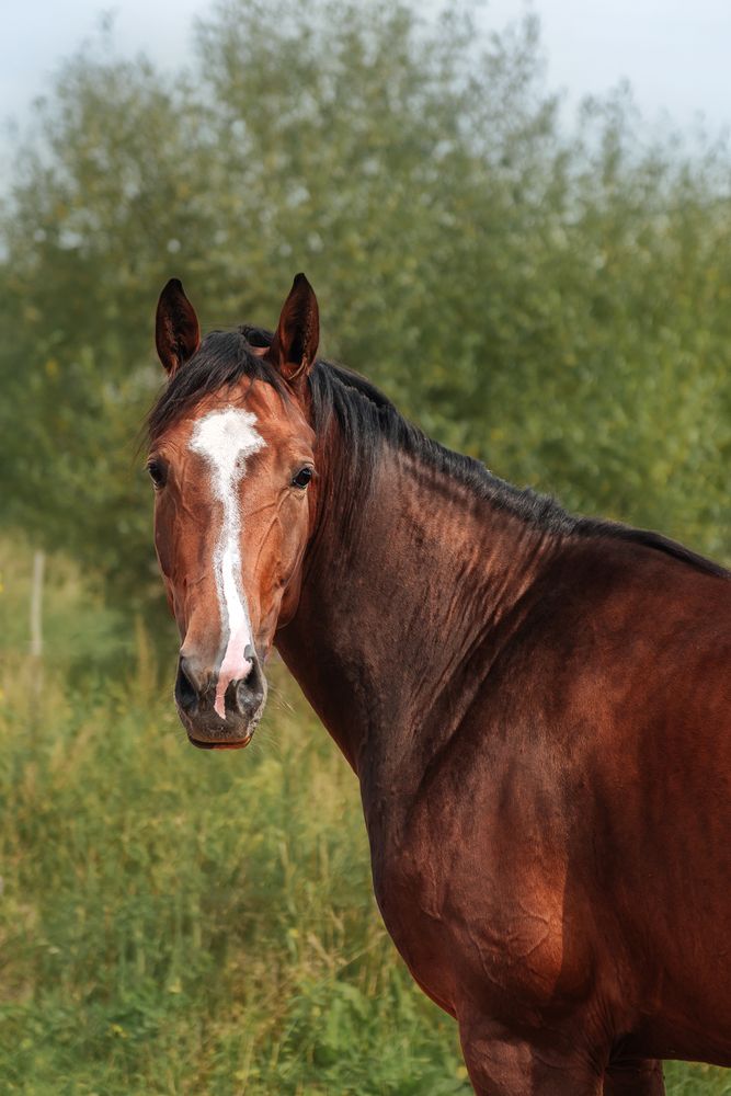 Фотография автора Татьяна Чапко