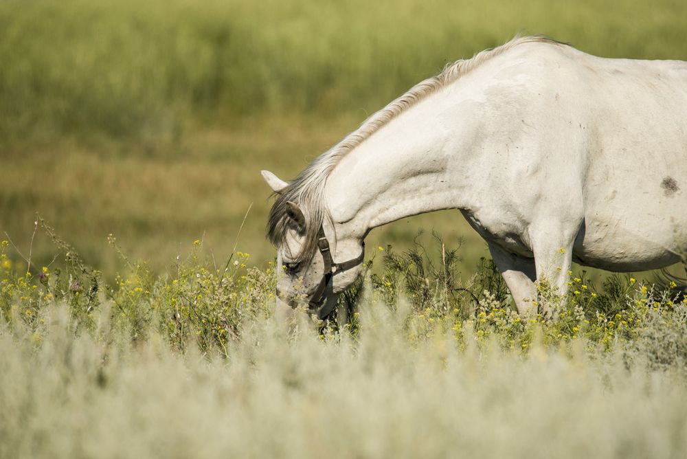 Фотография автора наталья залогина
