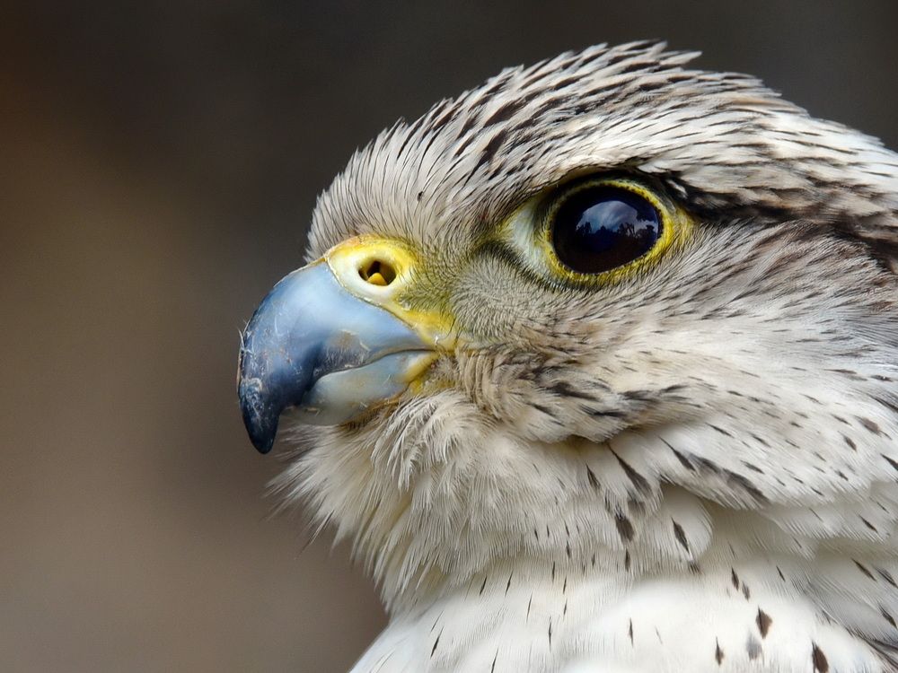 Photograph by Anne Moginier