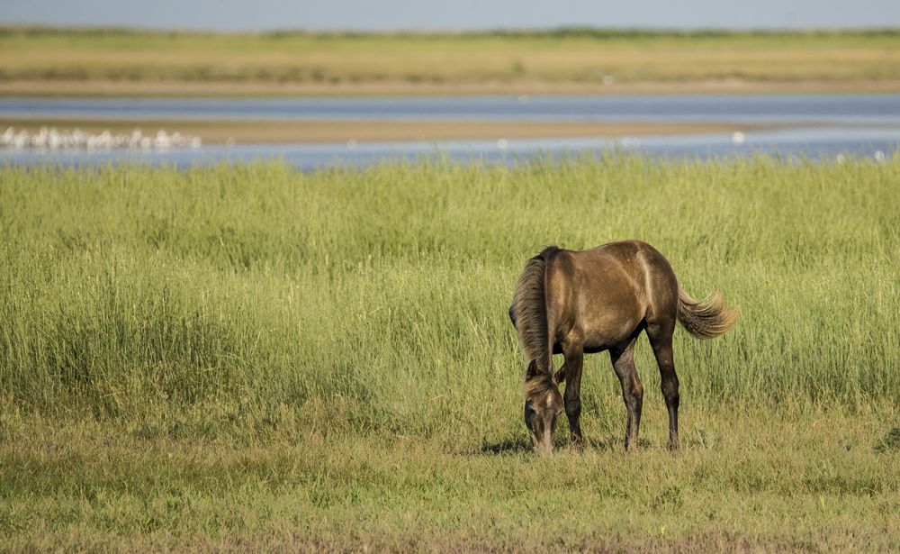 Фотография автора наталья залогина