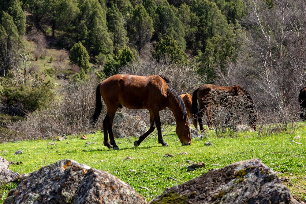 Photograph by Захаров Максим
