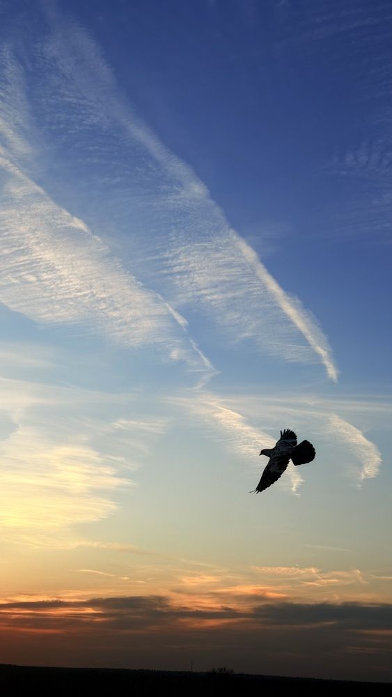 Фотография автора Дмитрий Самойлов