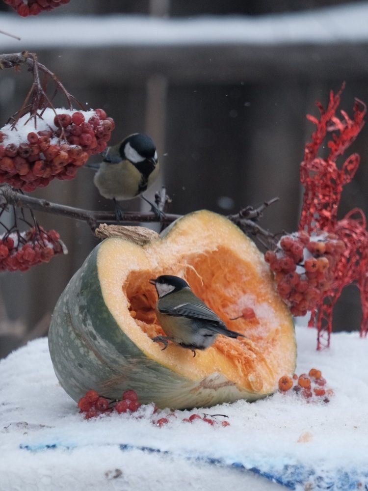 Photograph by Яна Истоцкая