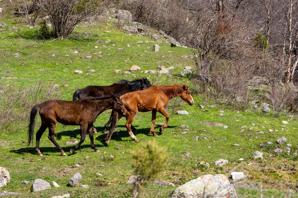 Photograph by Захаров Максим