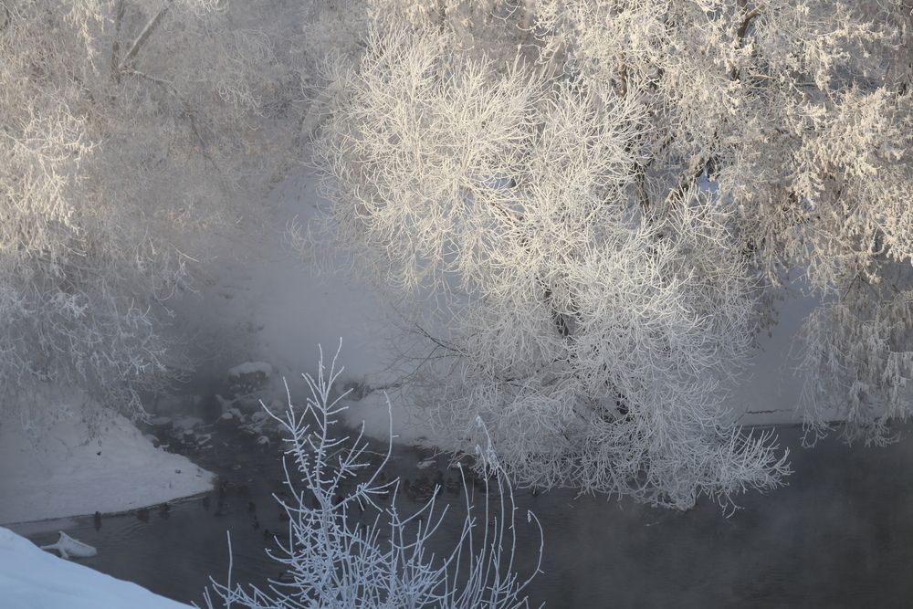 Photograph by Мария Глухова